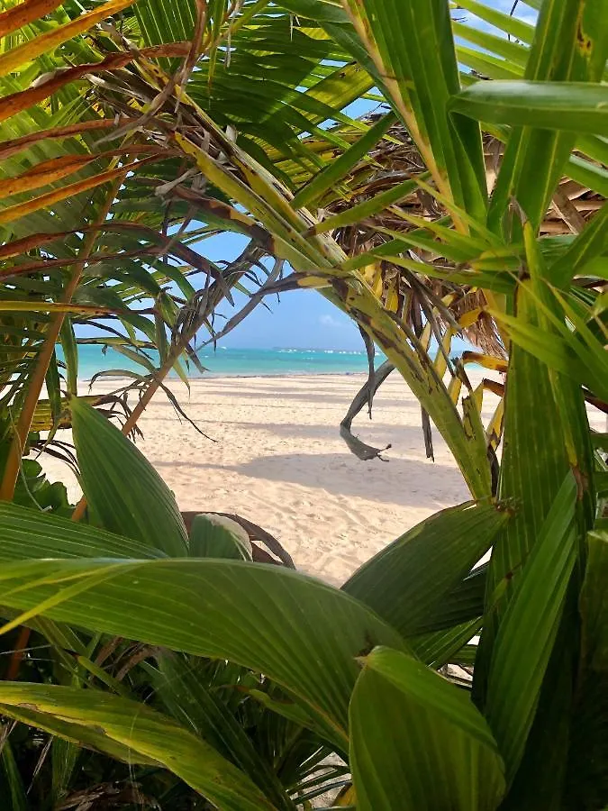 Ocean View Villa Bavaro Beach - 7Guests, Wifi, Bbq-Grill, Beach Access Punta Cana 0*,  Dominikanische Republik